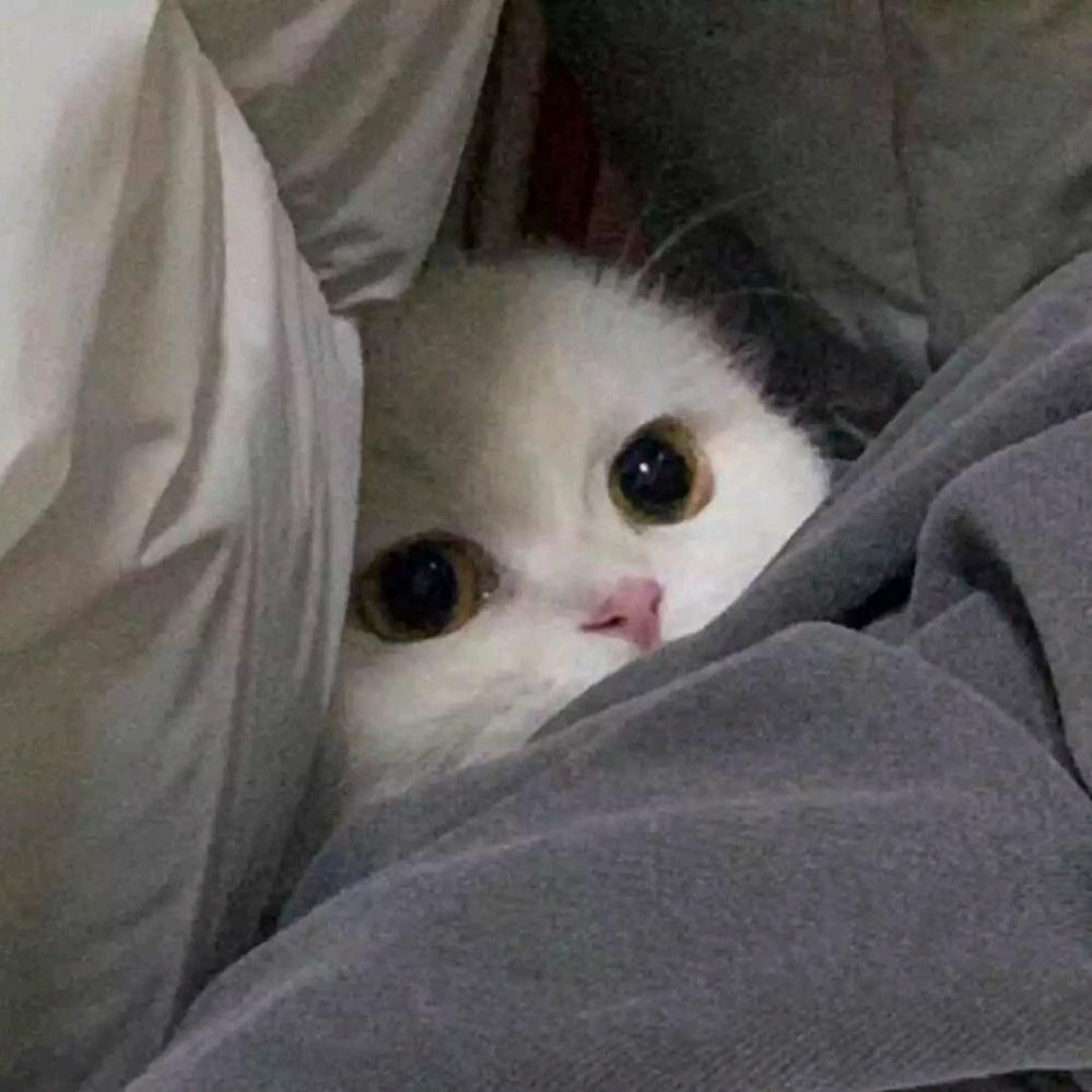 三个点