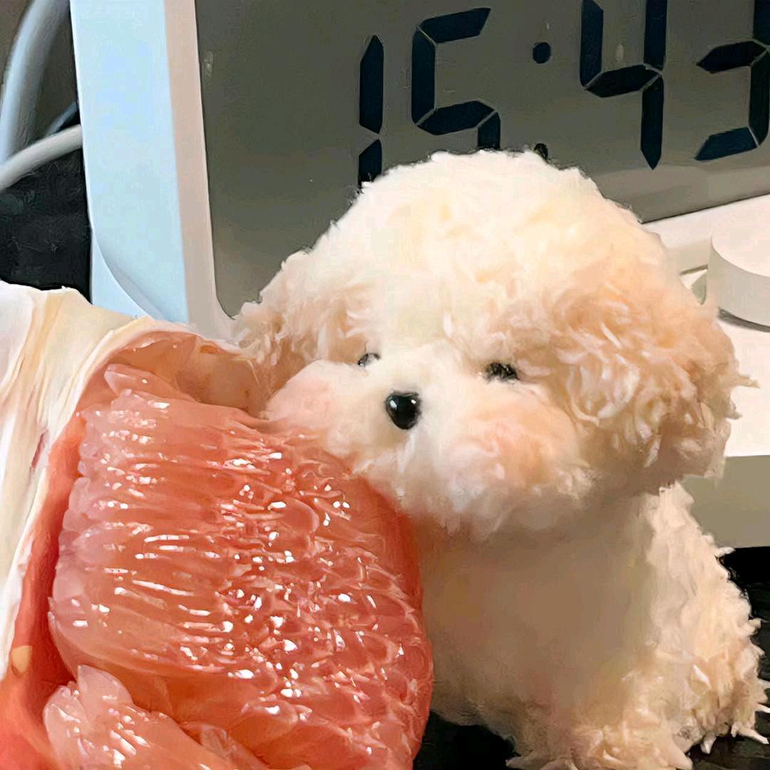 吃了汤泡饭
