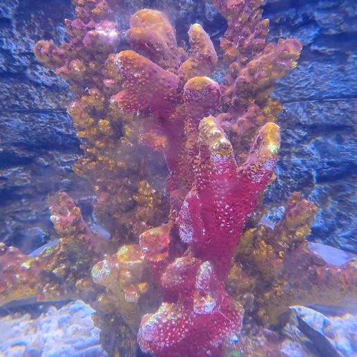 🚬ག阔步໊ꫛ钱行៷ᜧ