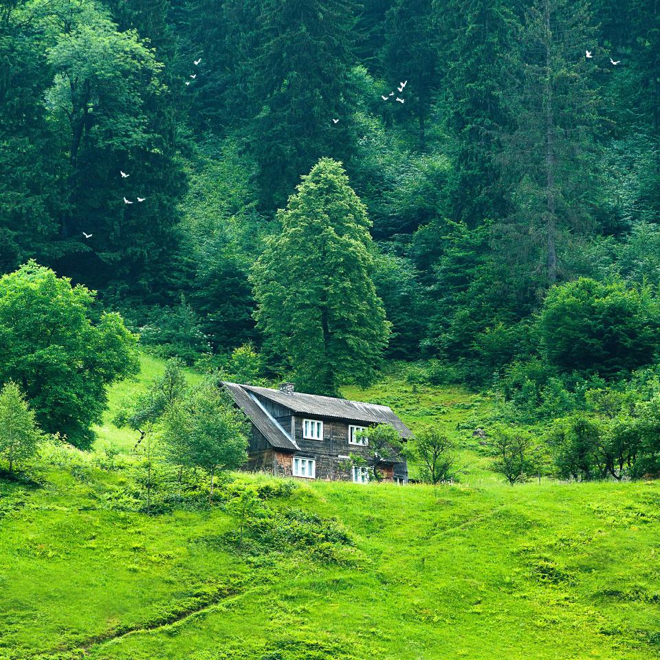江山如画