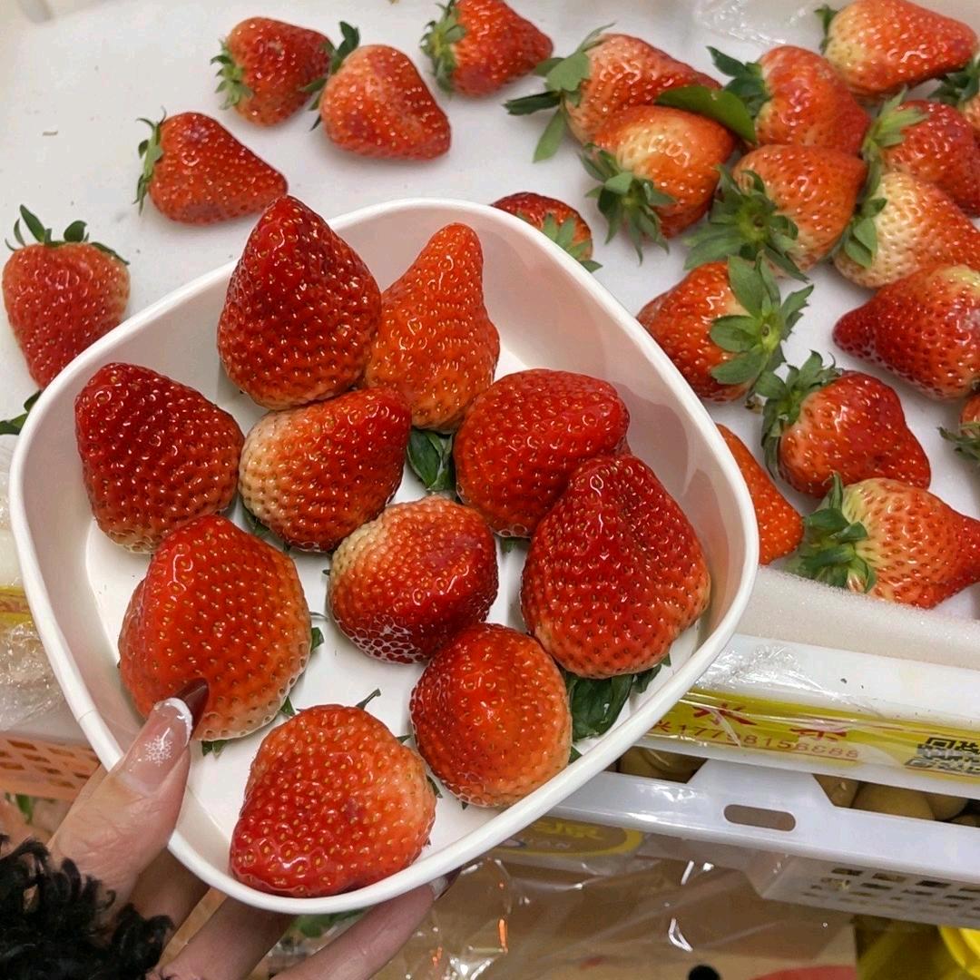 一只草莓酱"🍓"
