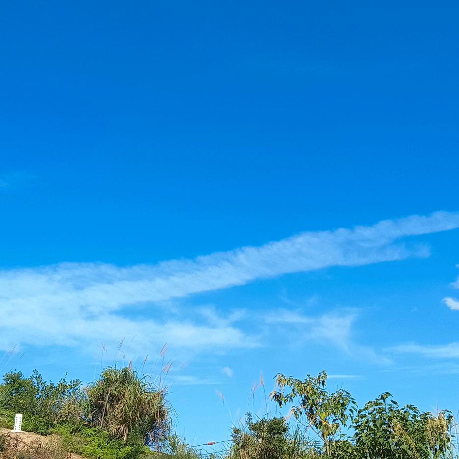带个面包去流浪