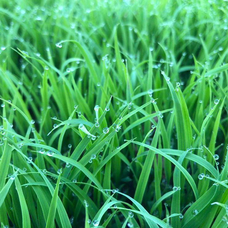 煜医(女性私密守护神男性私密保卫者)