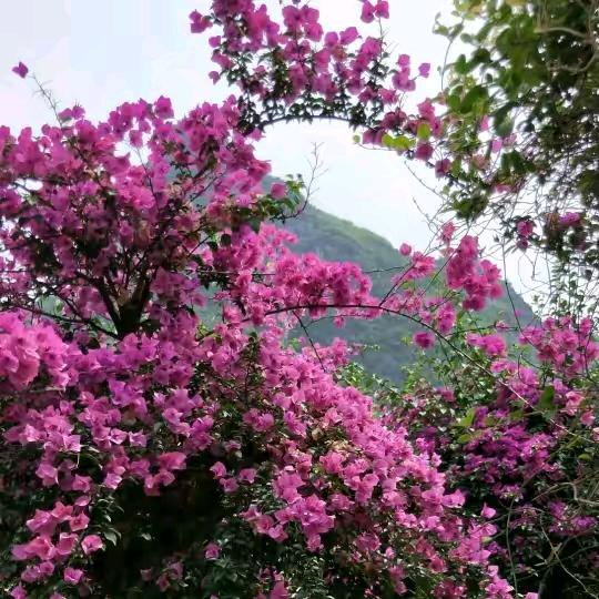 开心每一天°