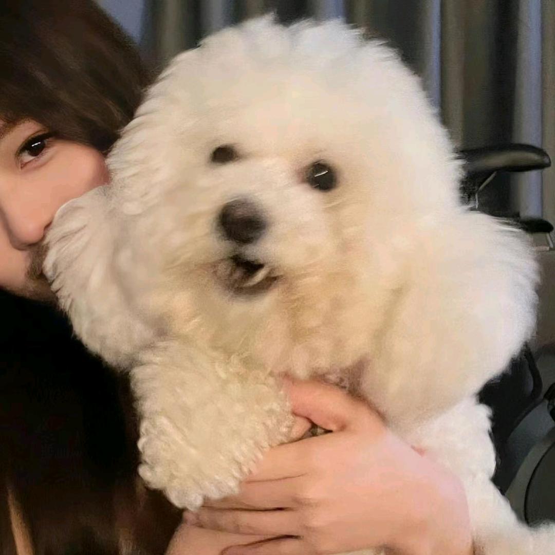 崽子玩屎给你一屎