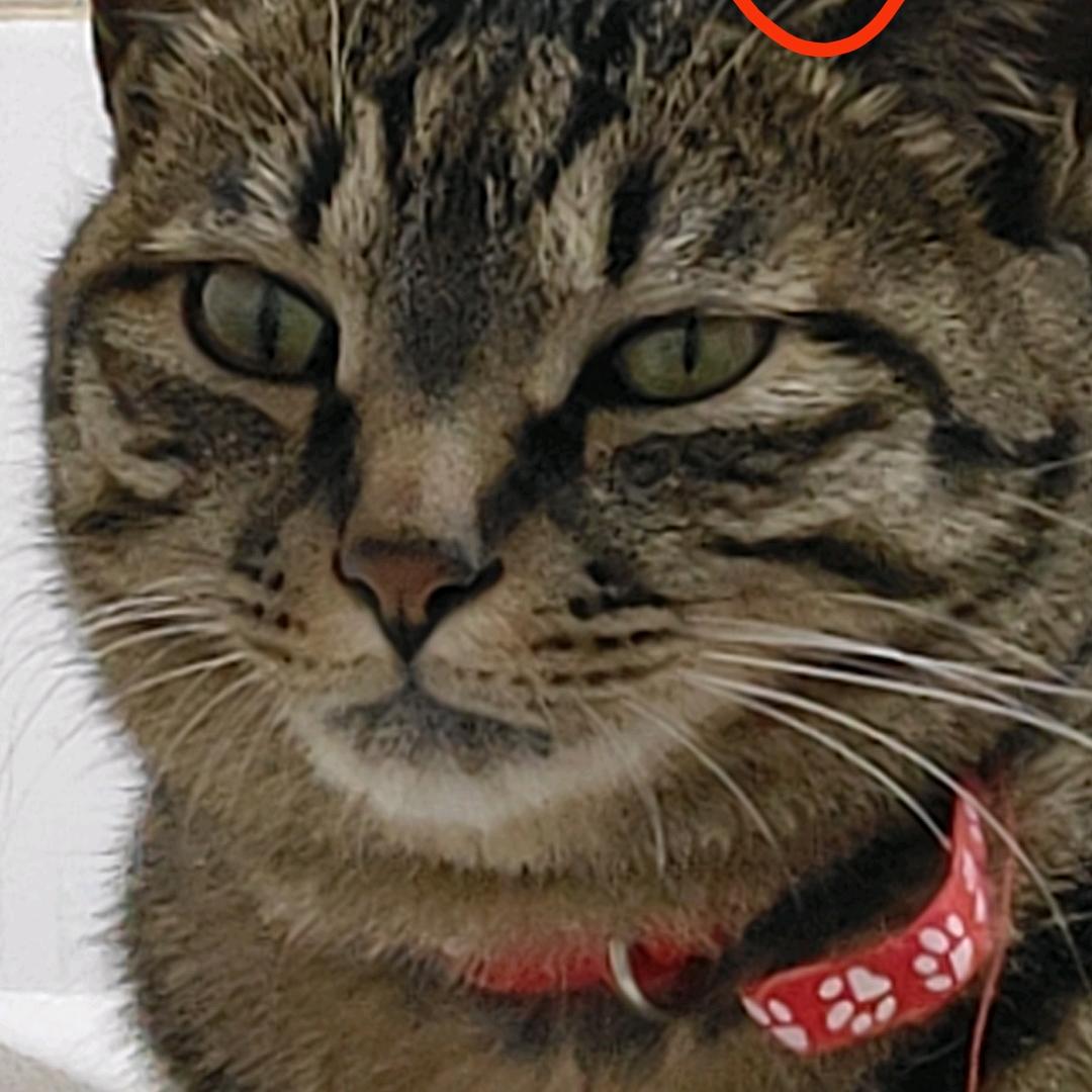 小样儿，迷死你