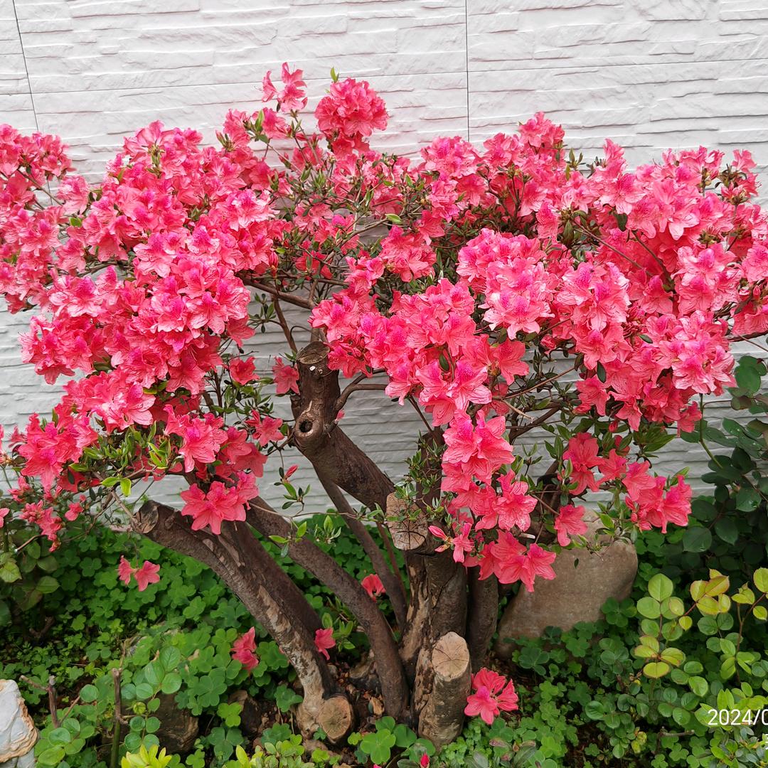 明晖装饰