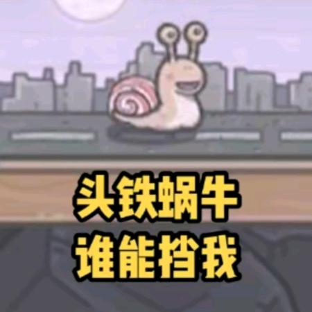 小楠我玩蜗牛要