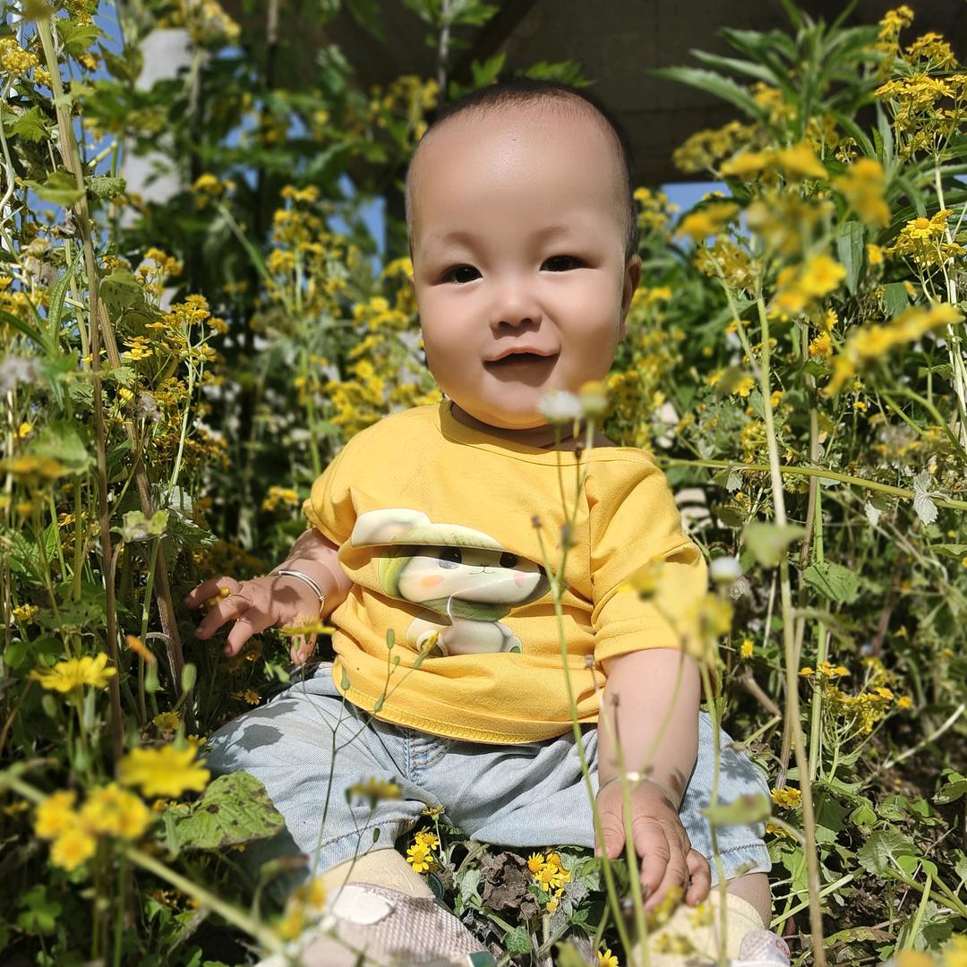 杨杨小宝贝的日常生活🌸