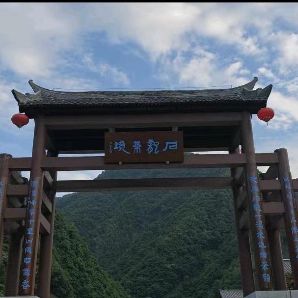 石龙茶境