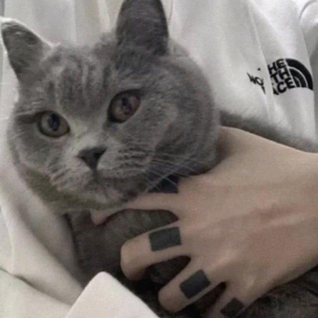 陈陈