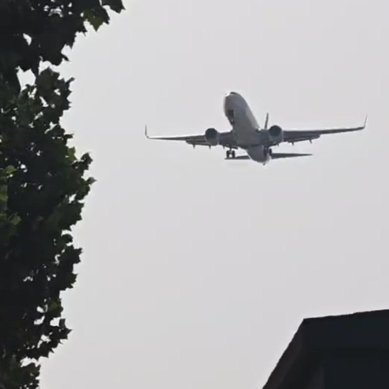 想要活成我自己