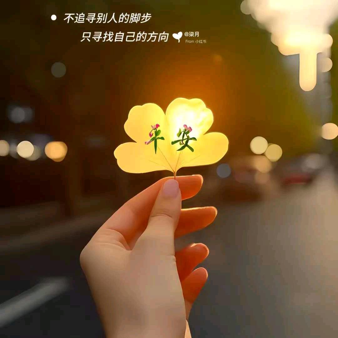 文的“橱窗”