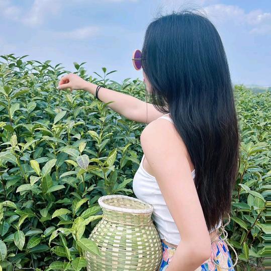 花姐厨房好帮手