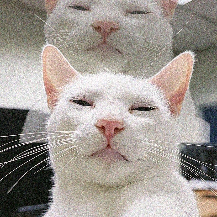 ᐡ•͈ ·̭ •͈ᐡ