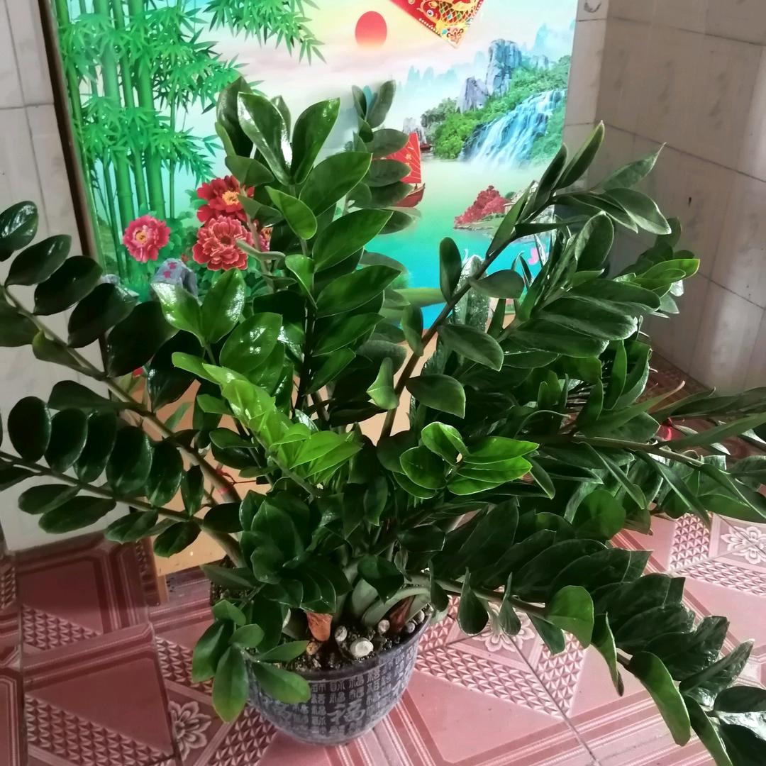 节节高升