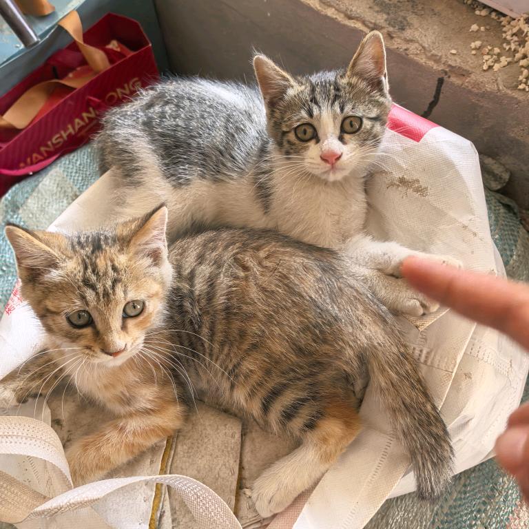 彼艾洁日用品厂客服号