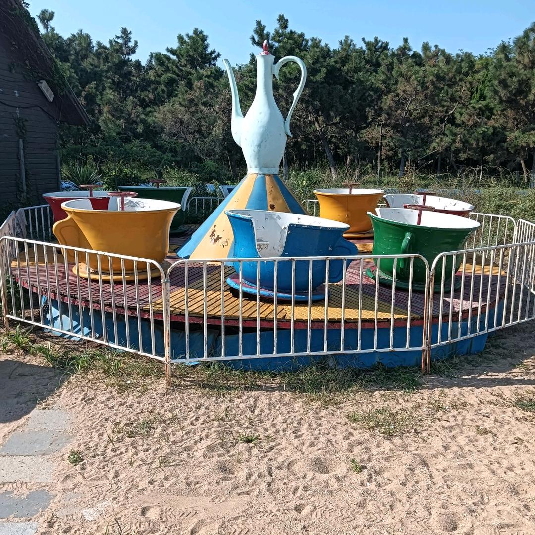 莱西宝全（单）