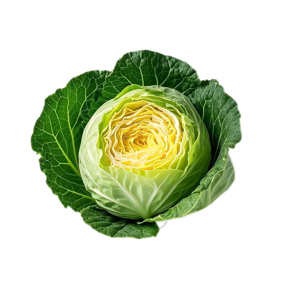 世界和平.