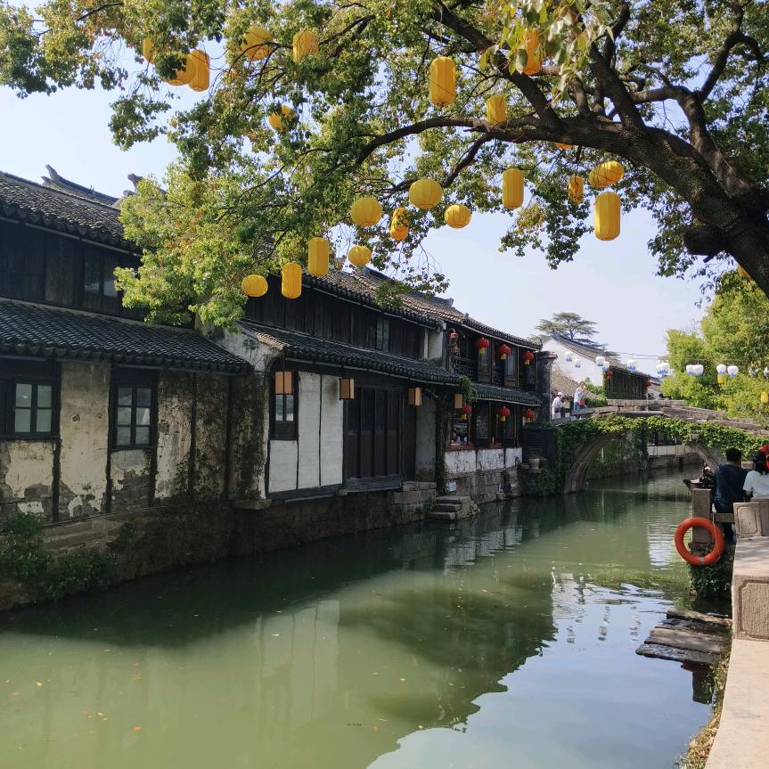 苗苗乡愁美景