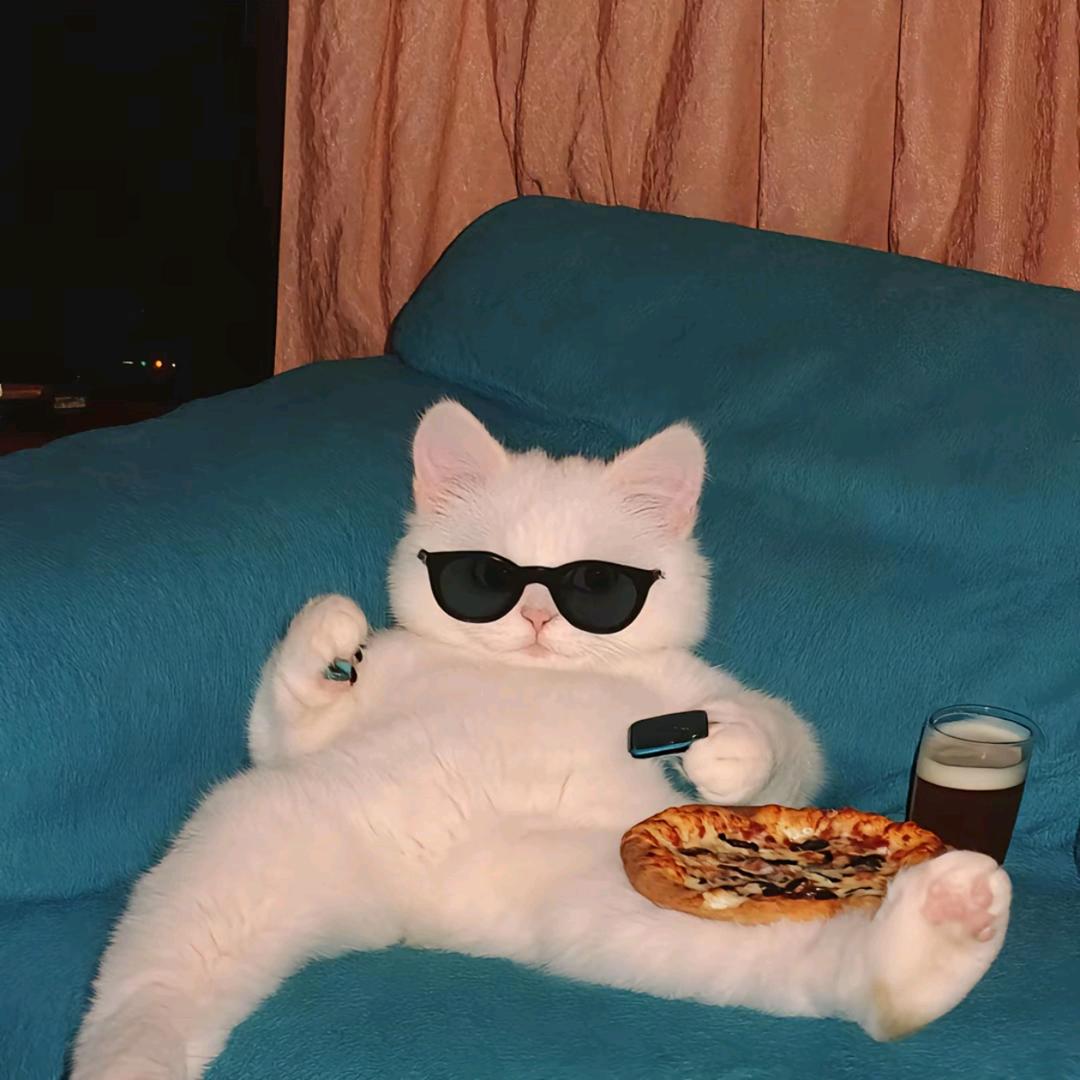 昆山难走红腚的小丑猴