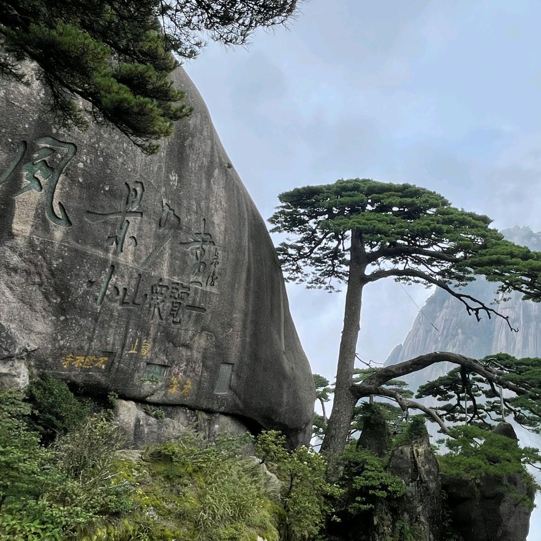 诠释淡然