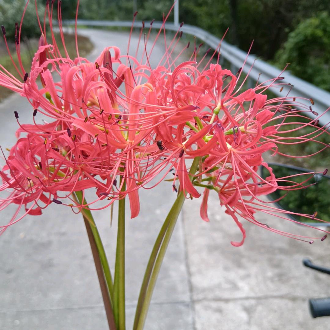 平平淡淡才是真