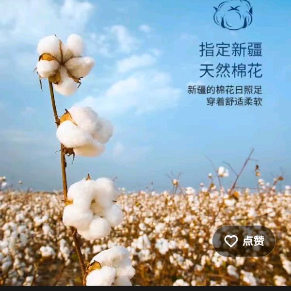 益织贸易商行