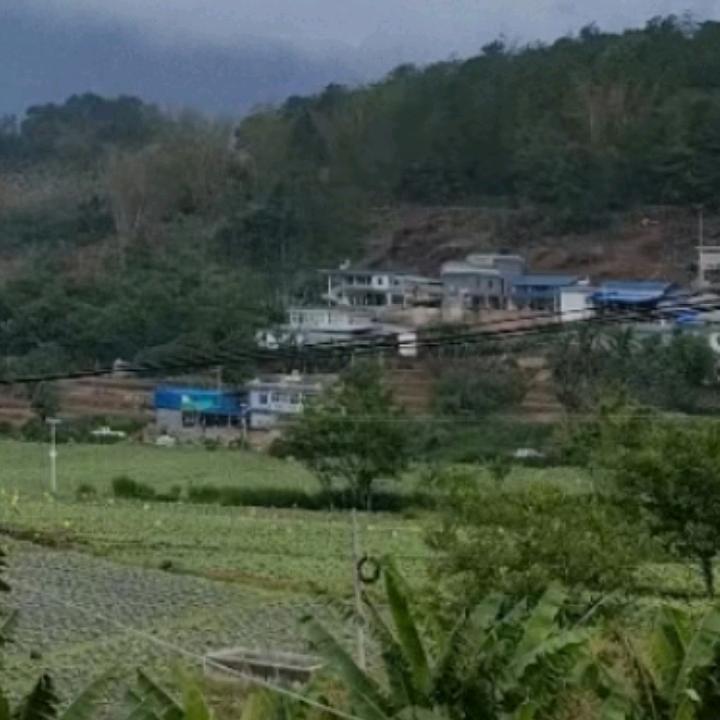 我我爱我家