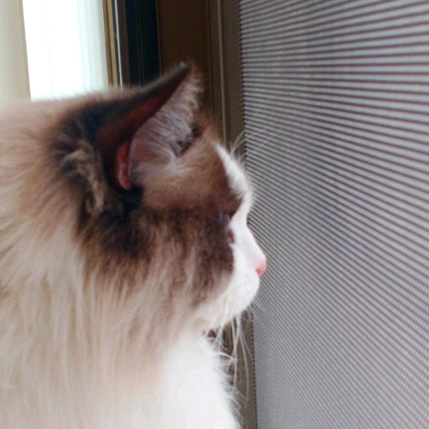 开心每一天哈哈