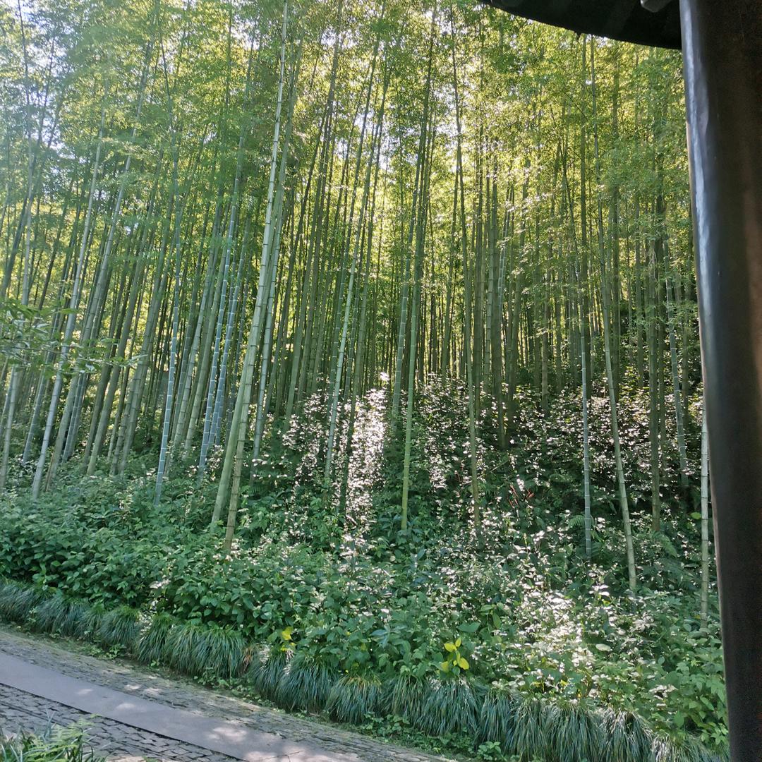 随心源
