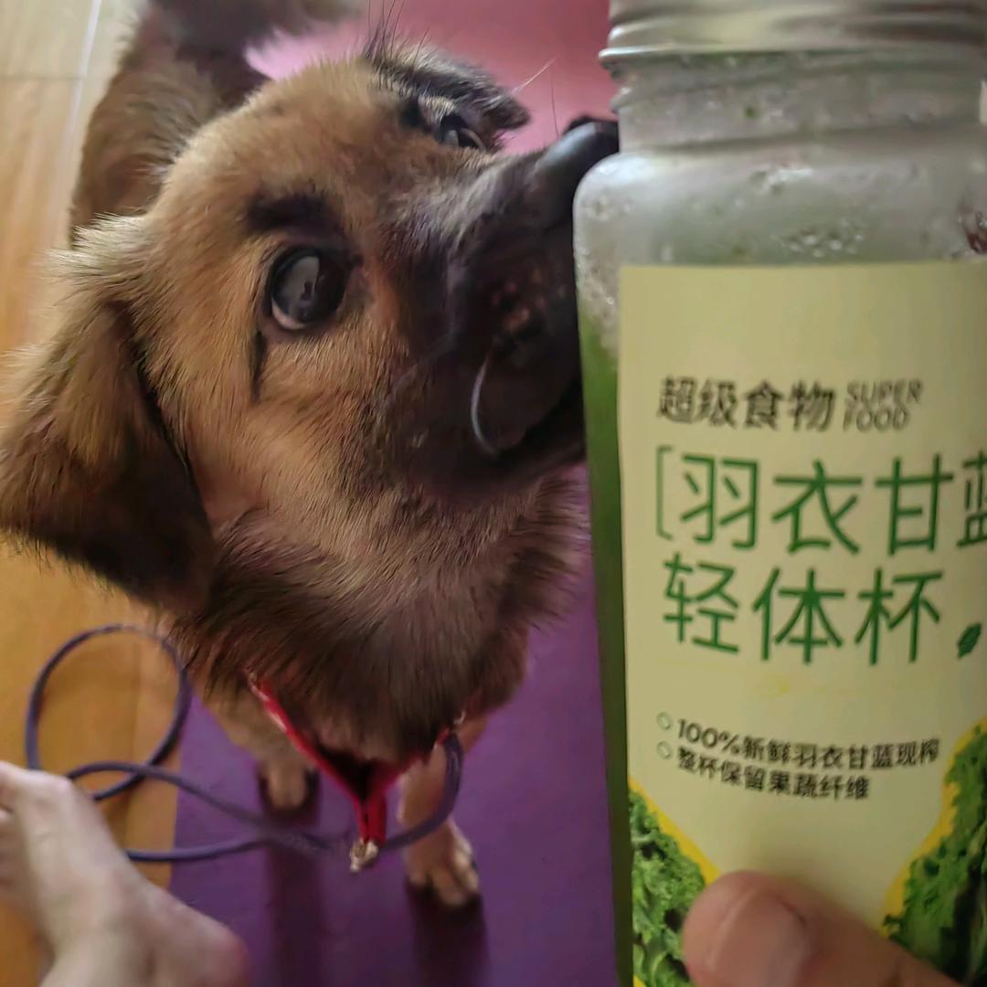 沈妈的小日志
