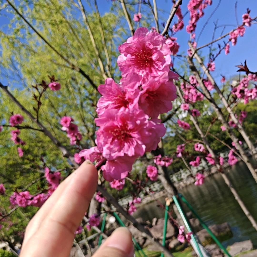 彩虹