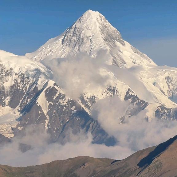 金牛区羊犀立交树吖吖处理