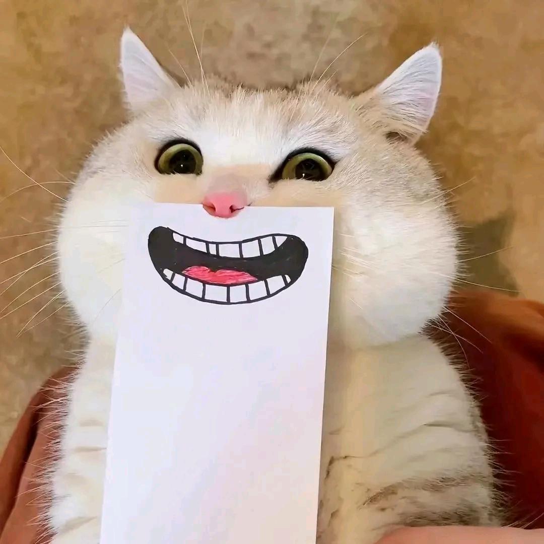 一屉包子