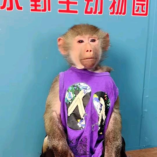 暮汐(小二的额娘)