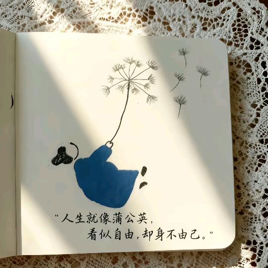 💋᭄ꦿ孞琞᭄《拒绝私聊》