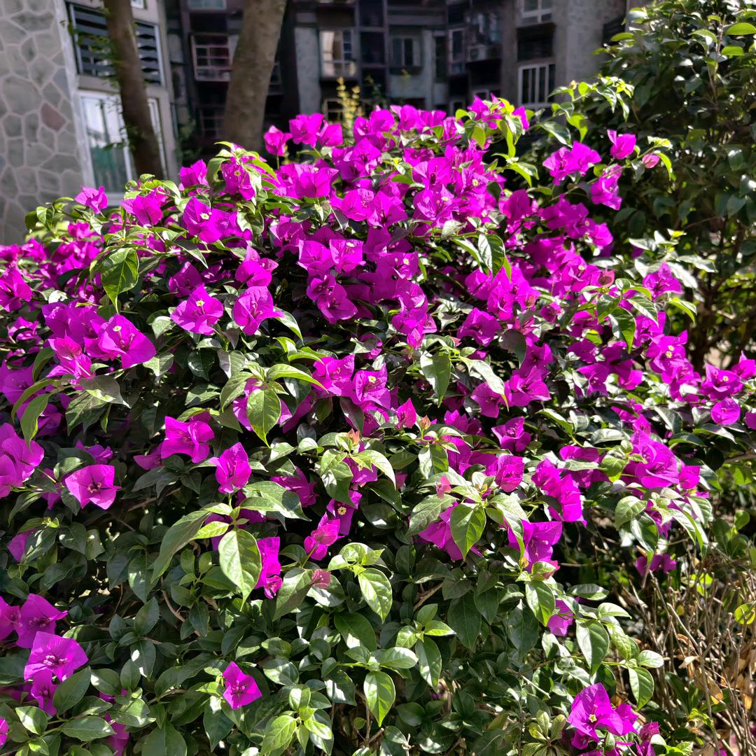 路路陪伴