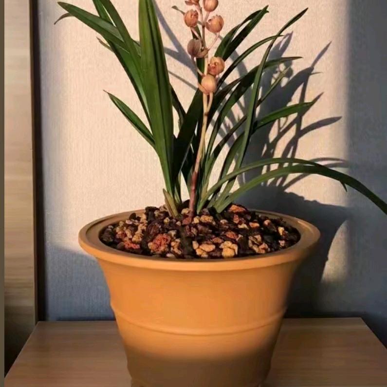 天天厂家优选