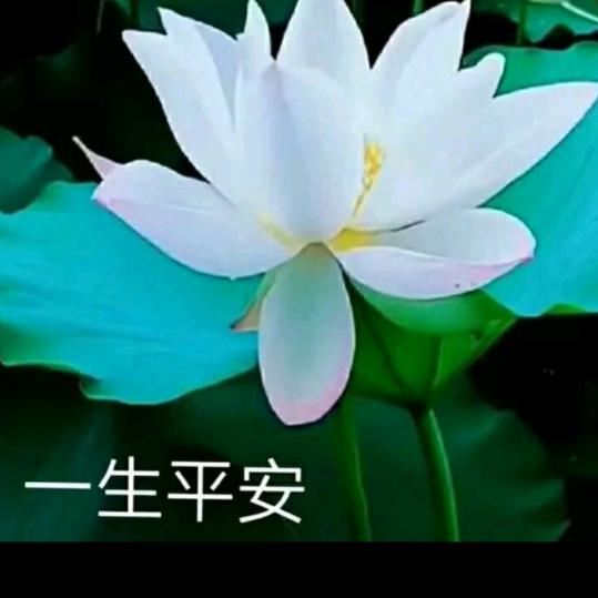 平安一生——刘怡汝