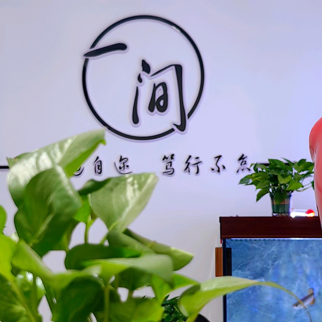 树叶过河😘