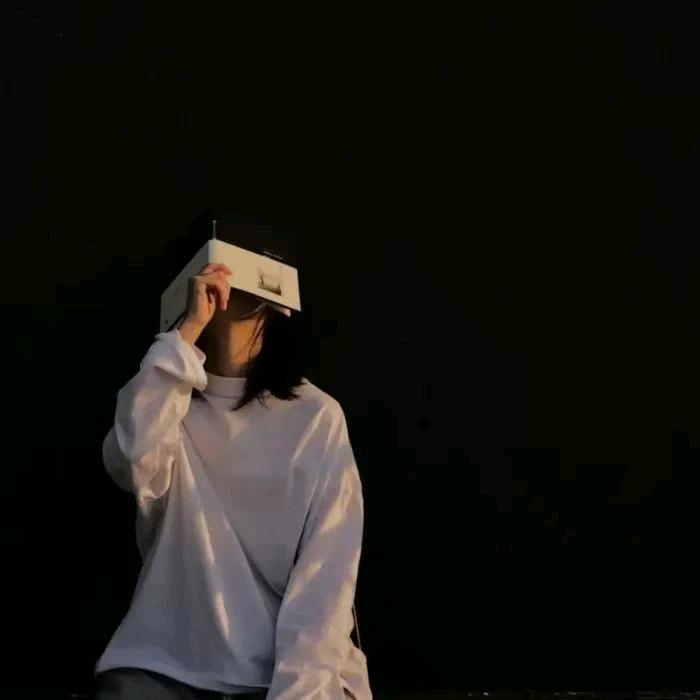 @没头脑（写小作文版）