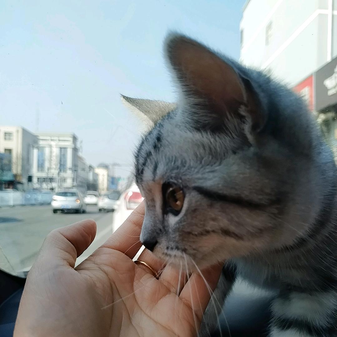 🍊橘子