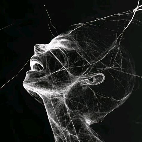 🌈（流量回家）