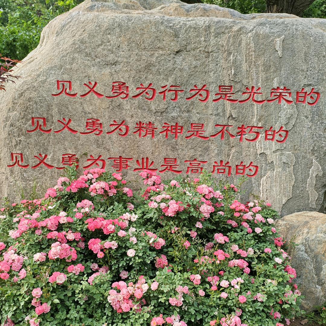 美人鱼