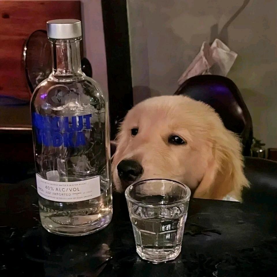 躺头像