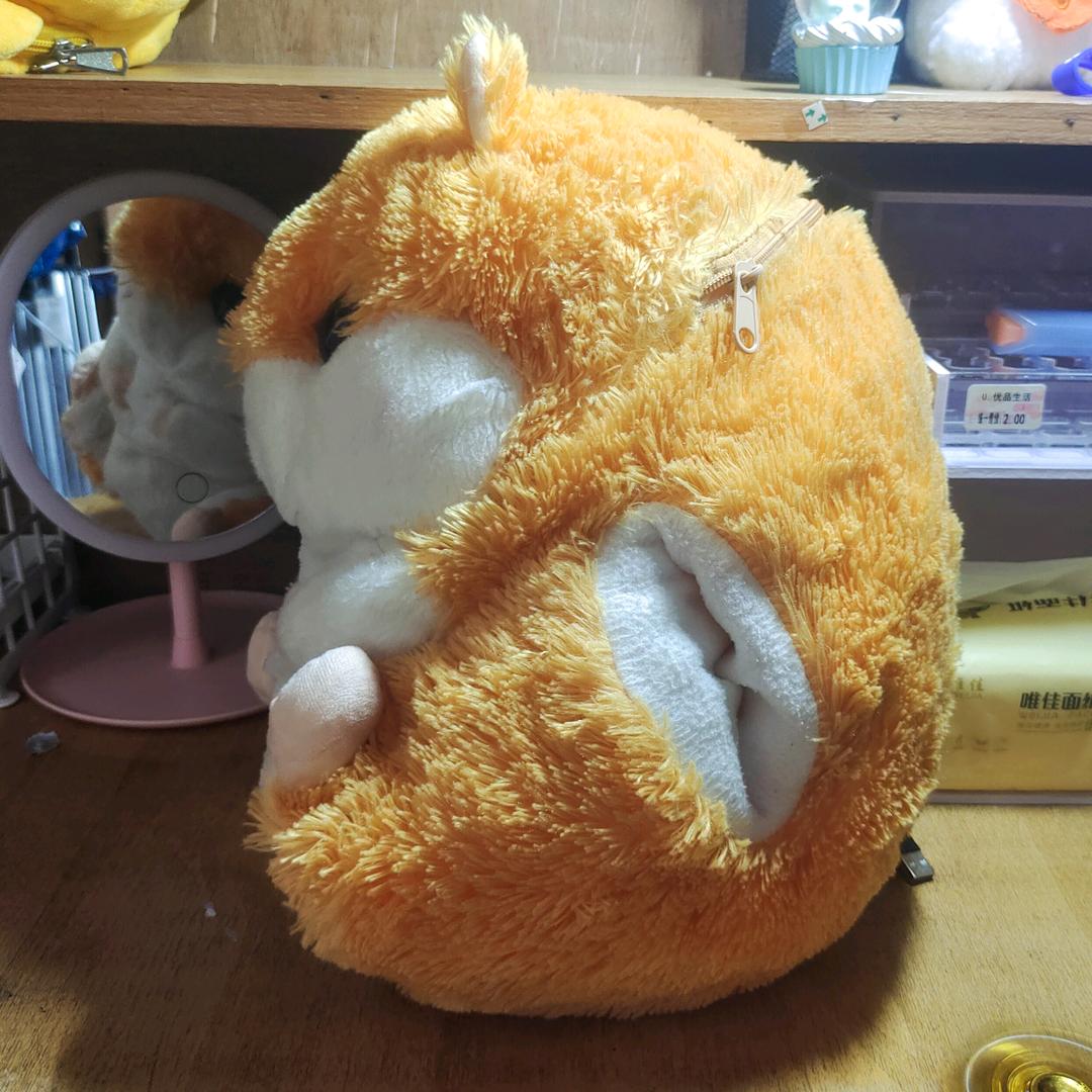 小泽要飞啦