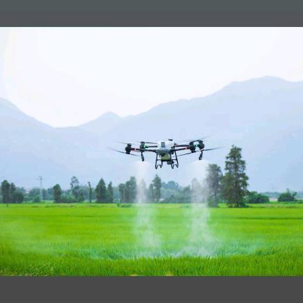 伽师AH黑龙012号鸽舍