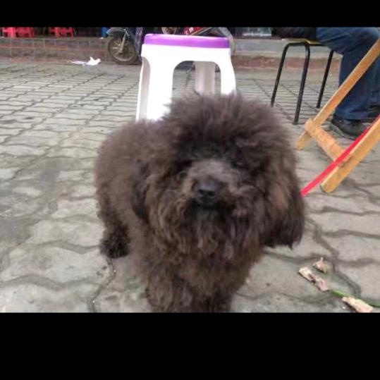 💖ღ葱爷᭄ღ᭄ꦿ꯭💖《只看不刷了》