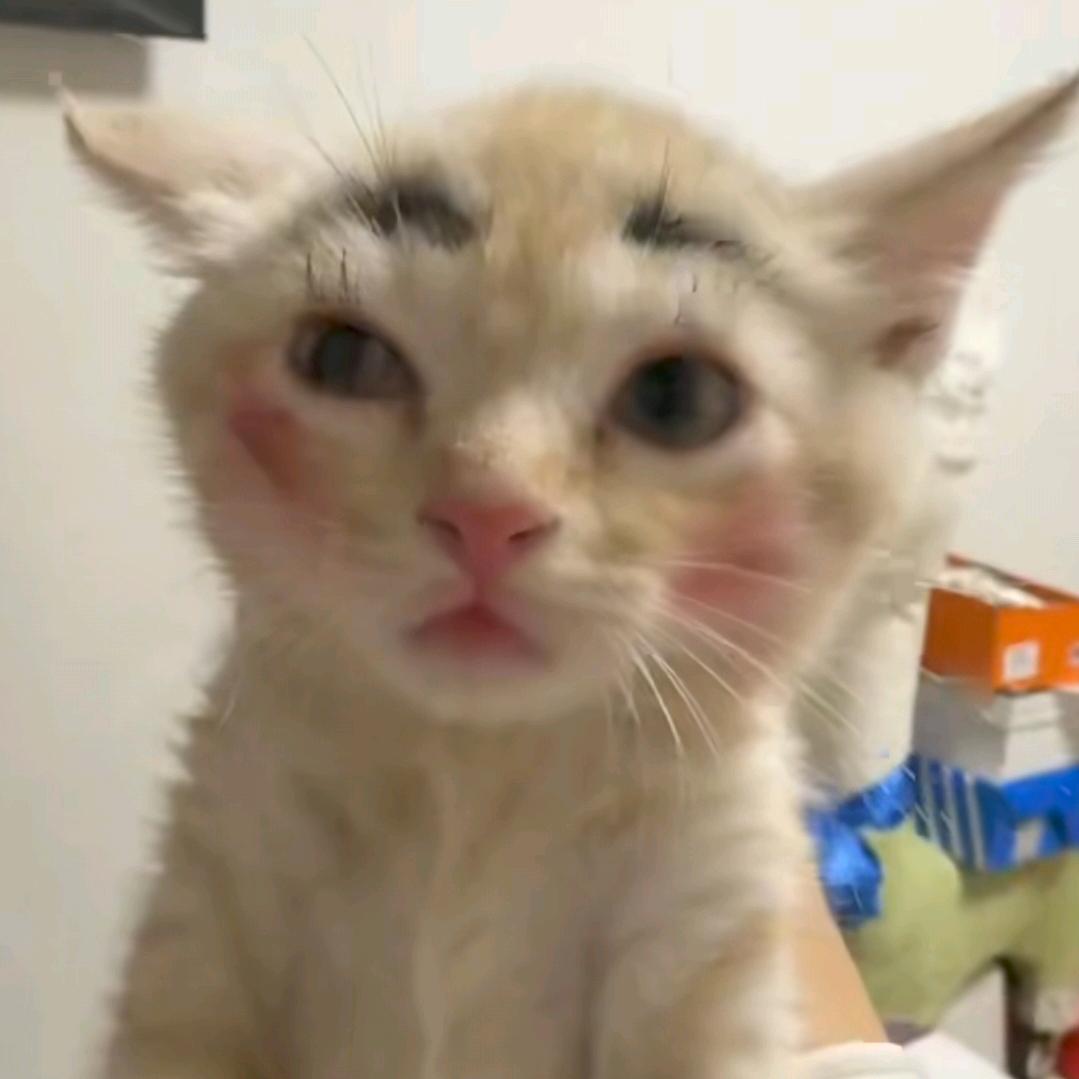 牙希牙希